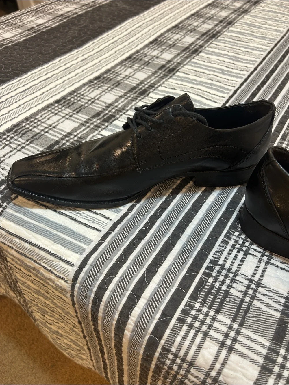 Belvedere men lace